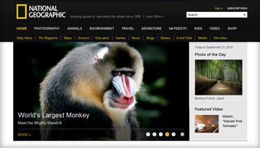 手机短信轰在线轰炸免费